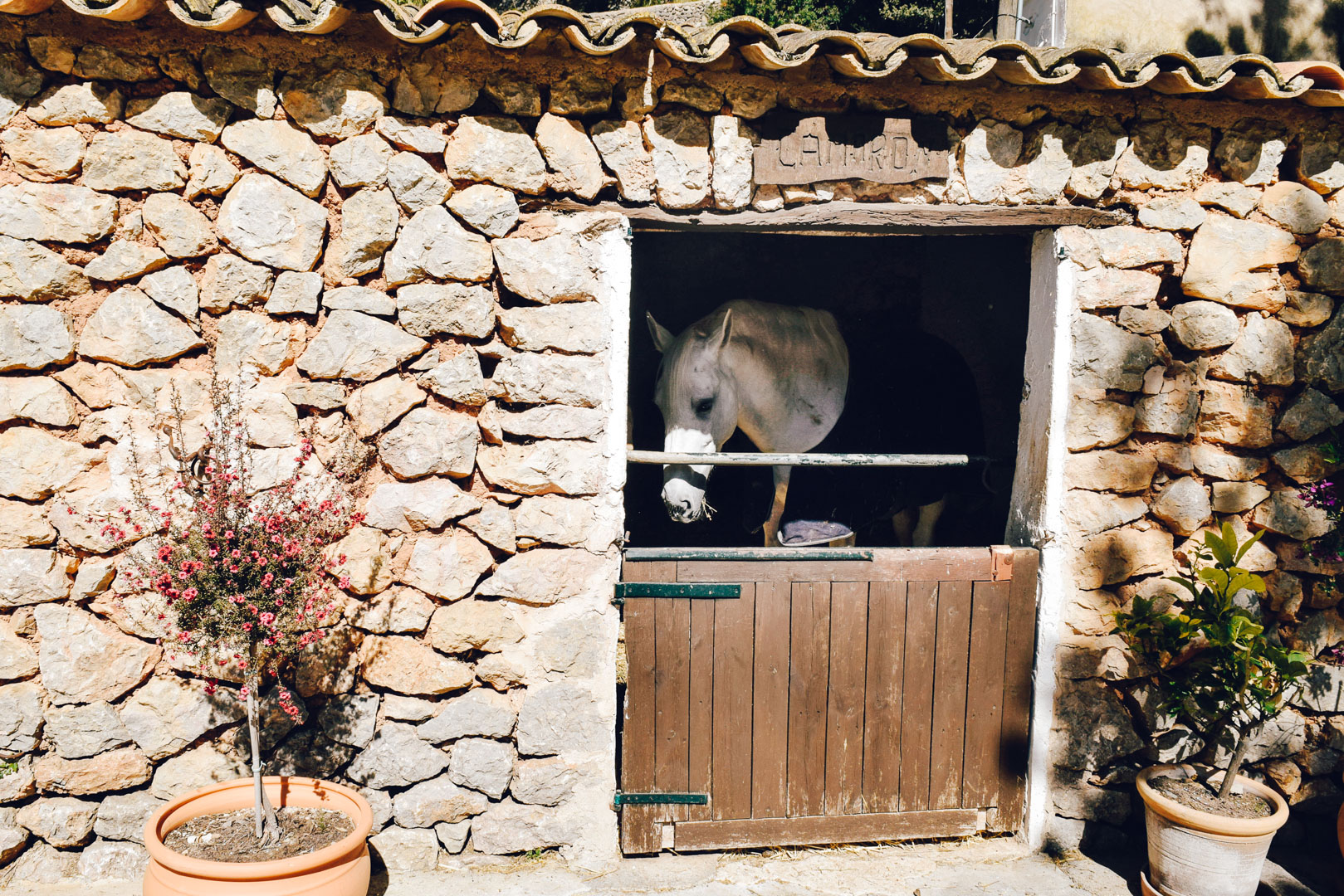 Das Landgut und Museum La Granja Mallorca Momente