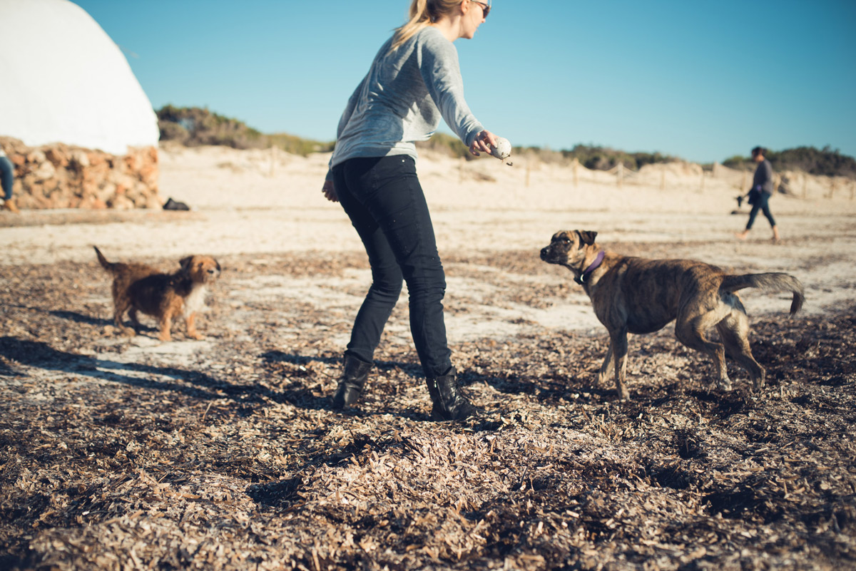 Strände auf Mallorca an denen Hunde erlaubt sind Mallorca Momente