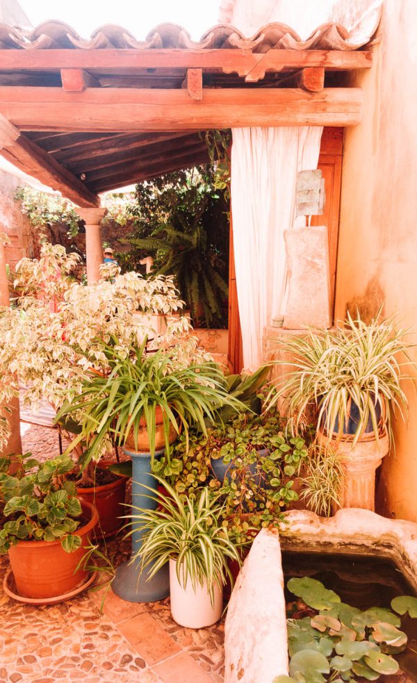 So haben wir Campos noch nie erlebt! Mallorca Momente